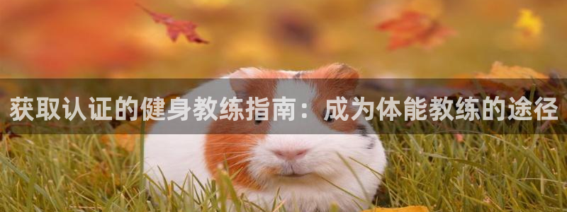 龙八国际娱乐网页多少