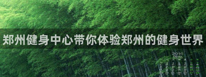 龙8国际游资如何