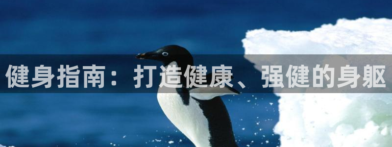 龙8国际老虎机官网