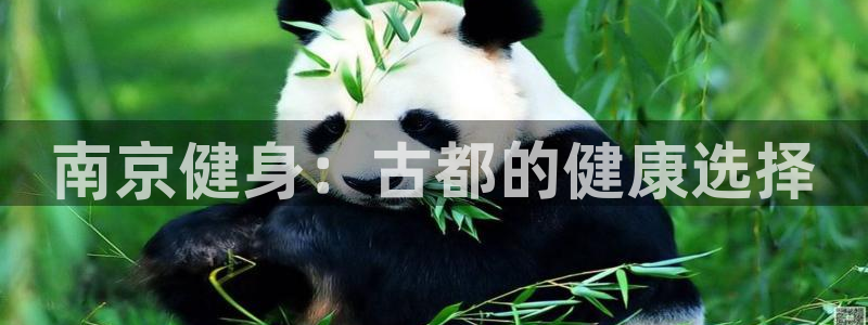 龙8国际的官网