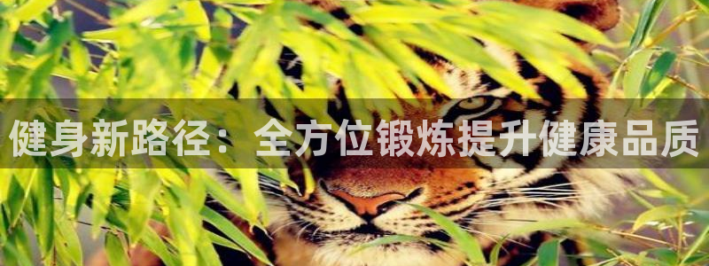 龙 八国际