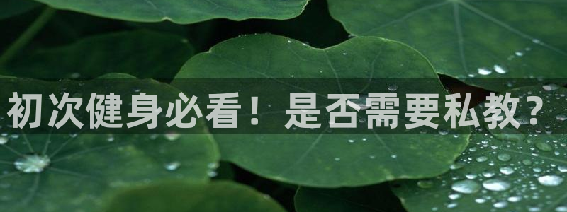 龙8国际3.0