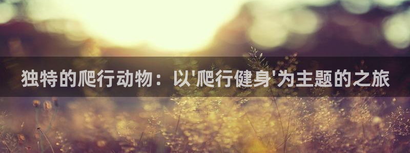 龙八国际城