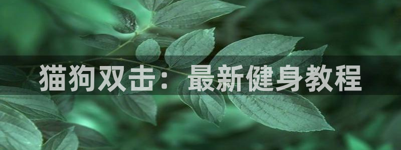 龙8官网国际