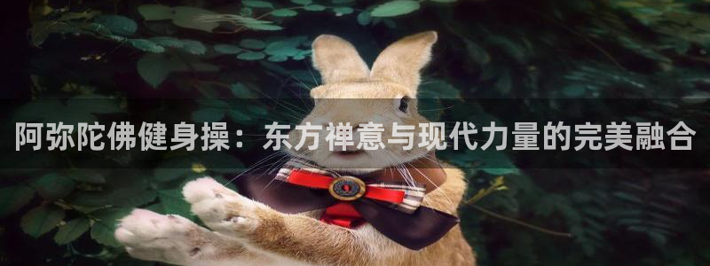 龙8国际-我的