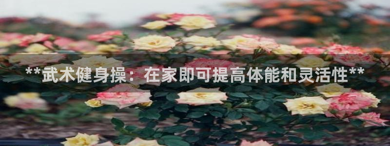 龙8国际手机版官网下载
