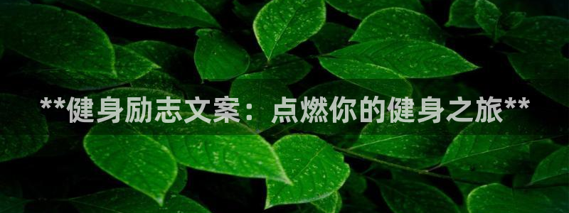龙8国际总代理