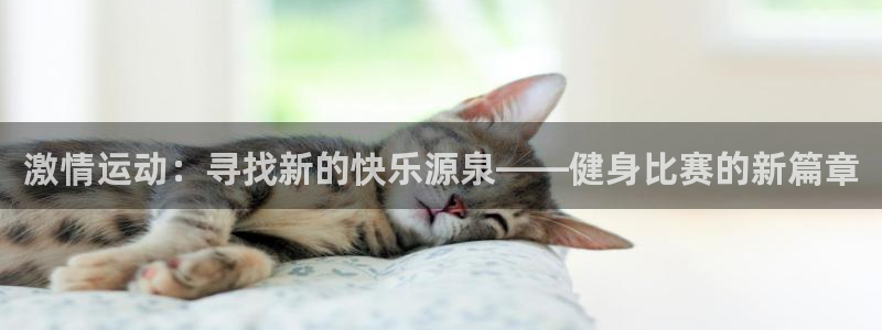 龙8国际long8龙8游戏