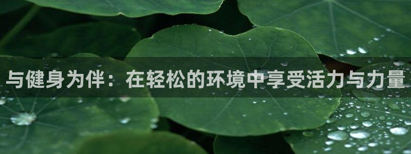 龙 八国际