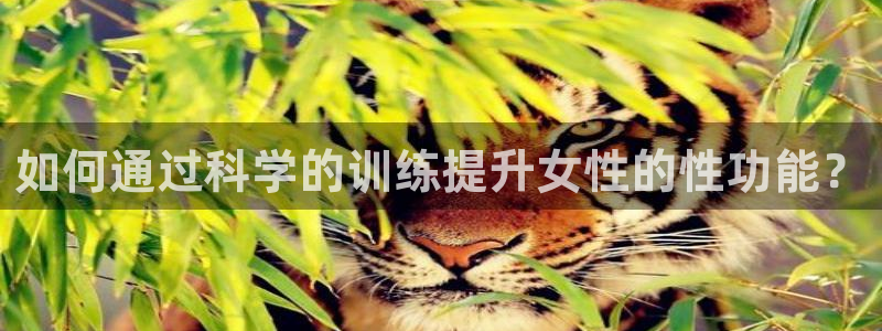 龙8国际官方网站手机版