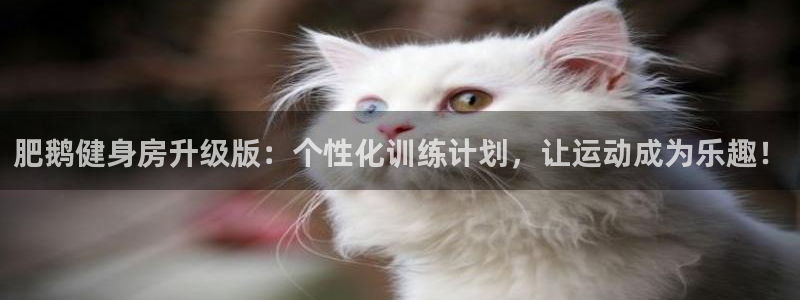 龙8电子游戏_首页