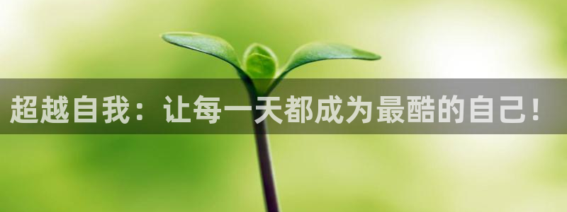 龙8游戏官方网站p