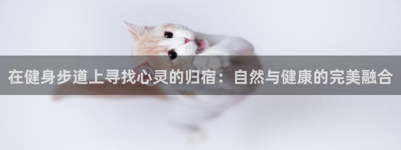 龙八国际服官网入口