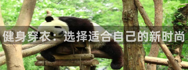 龙8国际2021年4.15更新版baoli