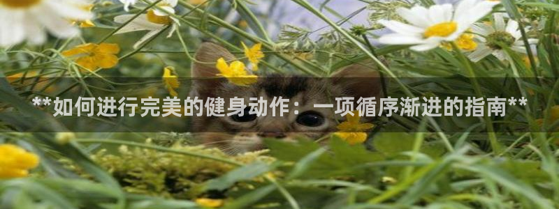 龙8国际安卓官方版fxzls-1.2.1 -安卓