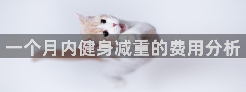 龙8游戏官方进入