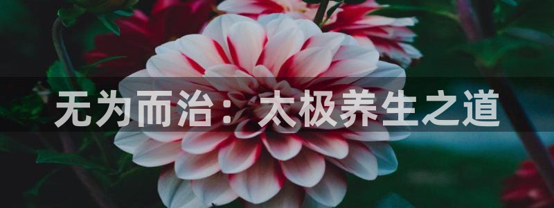 龙8游戏官方网站s