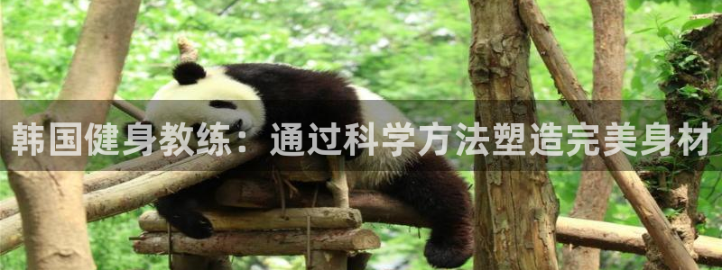 龙八国际娱乐官方网站