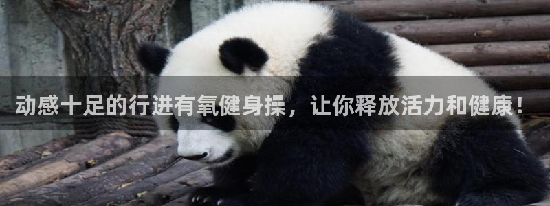 龙8国际唯一官网