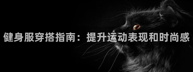 龙8国际是什么平台