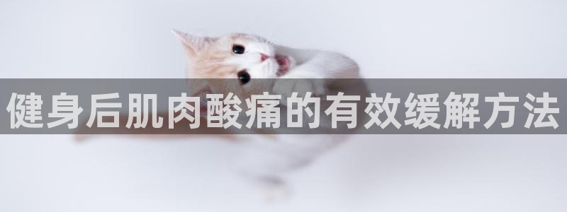 龙8游戏官方网站p