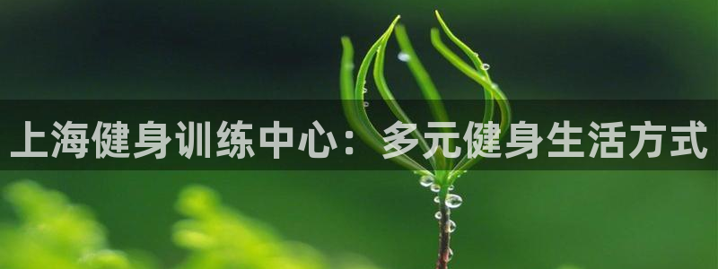 龙8国际游戏唯一官方进入