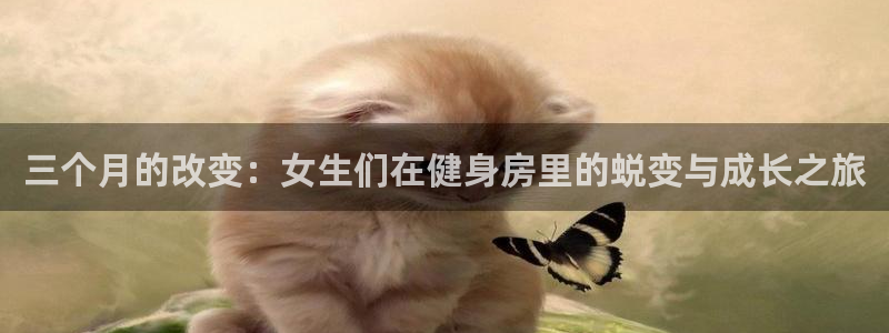 龙8国际被侦破了吗